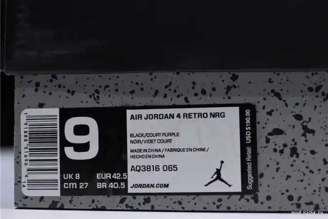 Jordan Raptors